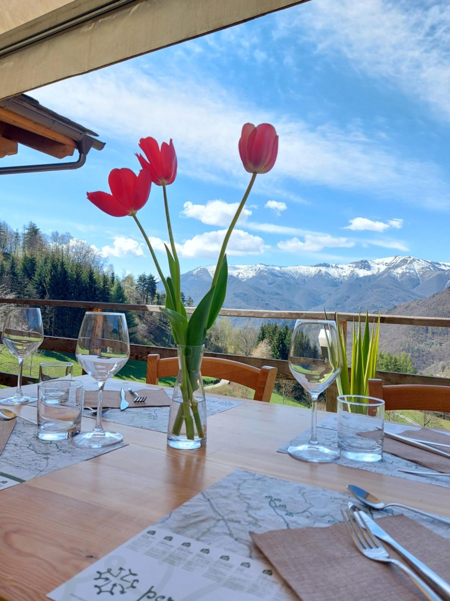 Locanda Il Campo Della Quercia San Damiano Macra エクステリア 写真